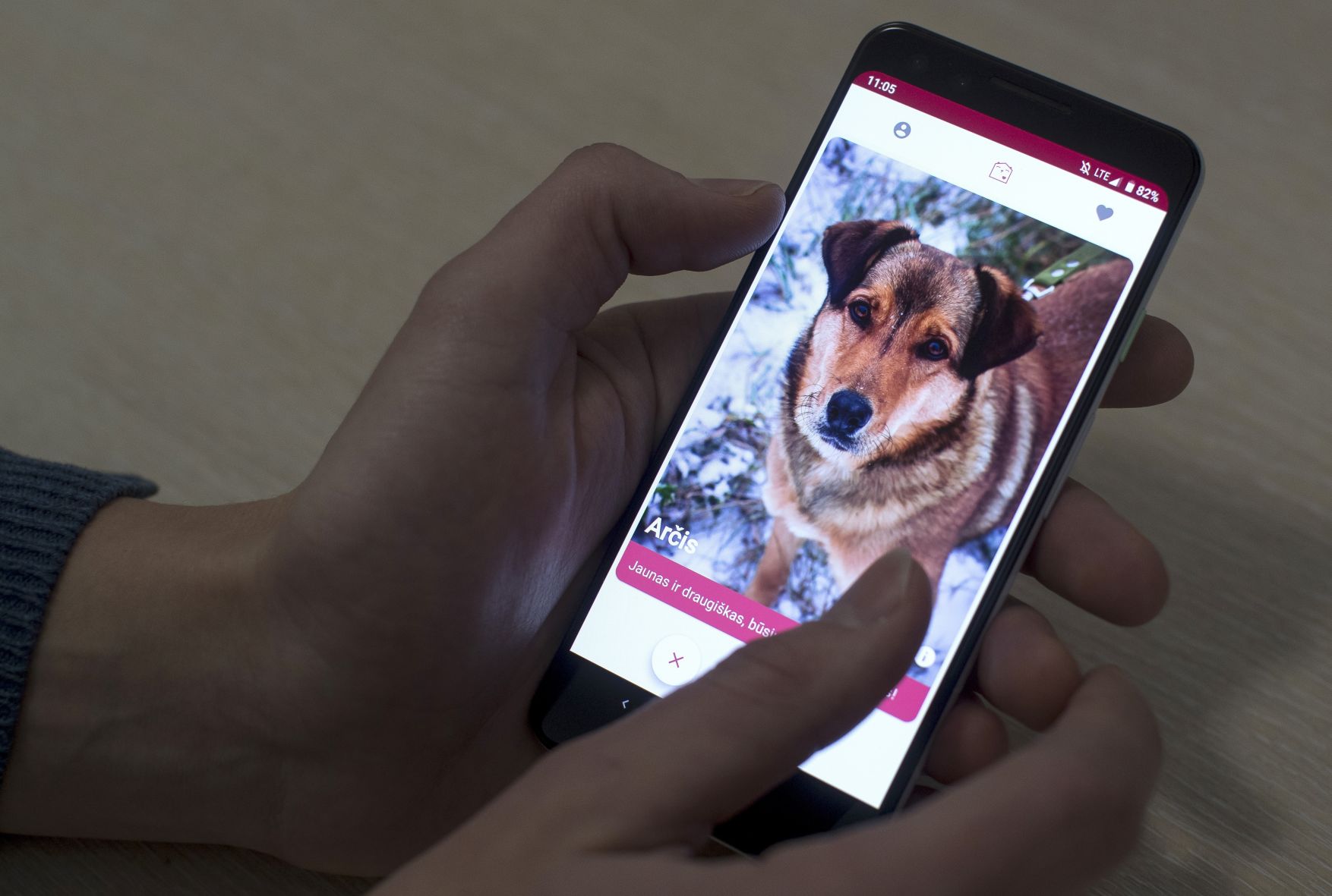 Lithuania Dog Matching App